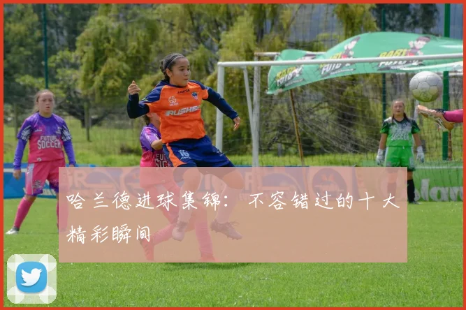 哈兰德进球集锦：不容错过的十大精彩瞬间