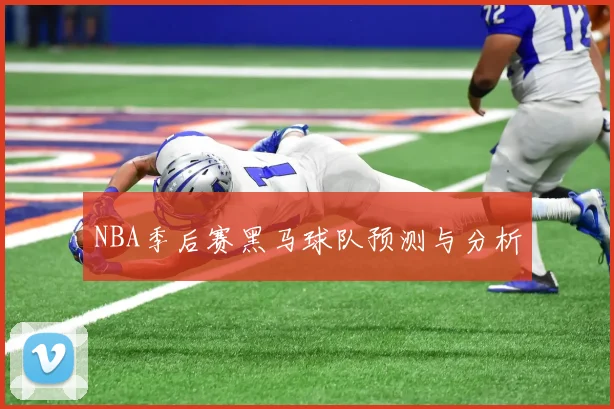NBA季后赛黑马球队预测与分析