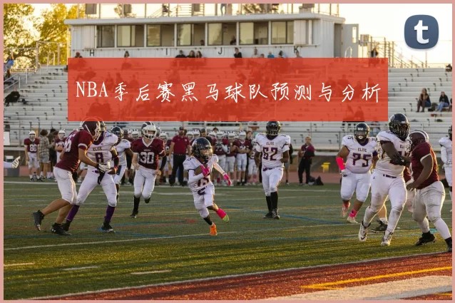NBA季后赛黑马球队预测与分析